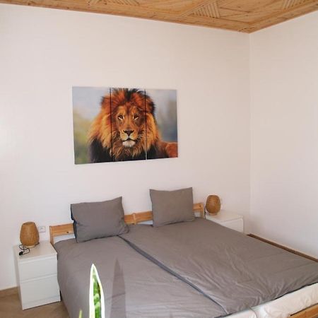 Dar Makai Surf Hotel Tamraght Eksteriør bilde